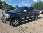 2013 Ford F-150 SuperCrew Cab 4x4 Pickup for sale #T250952A - photo 5