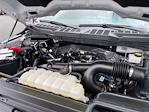 2023 Ford F-150 SuperCrew Cab 4WD Pickup for sale #50491-1 - photo 24