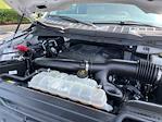 2021 Ford F-150 SuperCrew Cab 4WD Pickup for sale #51339-1 - photo 24