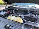 2020 Ford F-150 SuperCrew Cab 4WD Pickup for sale #W51440-1 - photo 25