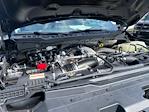 2025 Ford F-250 Crew Cab 4WD Pickup for sale #51441-1 - photo 25