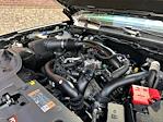 2024 Ford Ranger SuperCrew Cab 4WD Pickup for sale #52276-1 - photo 33