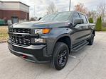 2019 Chevrolet Silverado 1500 Crew Cab 4WD Pickup for sale #53596-1 - photo 1