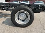 New 2024 Ram 5500 Tradesman Crew Cab 4x4 60 CA Cab Chassis for sale #BF8752 - photo 13