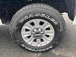 2016 Ford F-250 Crew Cab 4WD Pickup for sale #Y0856Z - photo 18