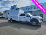 2025 Ford F-450 Crew Cab DRW 4WD Cab Chassis for sale #YE03817 - photo 1