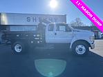 2024 Ford F-650 Super Cab DRW 4x2, Crysteel E-Tipper Dump Truck for sale #YF07745 - photo 7