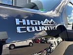 2024 Chevrolet Silverado 3500 Crew Cab 4x4 Pickup for sale #YNC3340A - photo 13