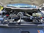 2023 Ford F-250 Crew Cab 4x4 Pickup for sale #S18413A - photo 10