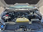 2022 Ford F-150 SuperCrew Cab 4WD Pickup for sale #MF50113P - photo 28