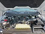 2023 Ford F-150 SuperCrew Cab 4WD Pickup for sale #MF50142P - photo 27