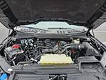 2023 Ford F-150 SuperCrew Cab 4WD Pickup for sale #MF50144P - photo 28