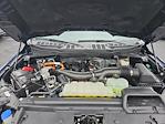 2024 Ford F-150 SuperCrew Cab 4WD Pickup for sale #MF50147P - photo 27