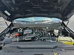 2023 Ford F-250 Crew Cab 4WD Pickup for sale #MF50159P - photo 29