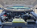 2024 Ford F-150 SuperCrew Cab 4x4 Pickup for sale #MF50160P - photo 28
