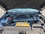 2017 Ford F-150 SuperCrew Cab 4WD Pickup for sale #MF501661 - photo 30