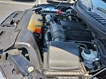 2017 Ford F-150 SuperCrew Cab 4WD Pickup for sale #MF501661 - photo 33
