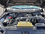 2020 Ford F-150 Regular Cab 4x4 Pickup for sale #MF50166R - photo 23