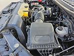 2020 Ford F-150 Regular Cab 4x4 Pickup for sale #MF50166R - photo 25