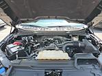 2022 Ford F-150 SuperCrew Cab 4x4 Pickup for sale #MF50183P1 - photo 29