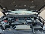 2024 Ford F-150 SuperCrew Cab 4x4 Pickup for sale #MF50185P - photo 29