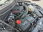 2024 Ford F-150 SuperCrew Cab 4x4 Pickup for sale #MF50185P - photo 30
