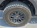 2024 Ford F-150 SuperCrew Cab 4x4 Pickup for sale #MF50185P - photo 9