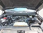 2023 Ford F-150 SuperCrew Cab 4x4 Pickup for sale #MF50212P - photo 29