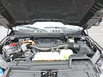 2023 Ford F-150 SuperCrew Cab 4x4 Pickup for sale #MF50215P - photo 29
