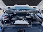 2023 Ford F-150 SuperCrew Cab 4WD Pickup for sale #MF50223P - photo 41