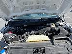 2022 Ford F-150 Regular Cab 4x4 Pickup for sale #MF50249R - photo 27