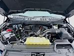 2022 Ford F-150 SuperCrew Cab 4WD Pickup for sale #MF50263P - photo 31