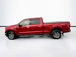2021 Ford F-150 SuperCrew Cab 4WD Pickup for sale #MF50268R - photo 4