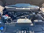 2023 Ford F-150 SuperCrew Cab 4WD Pickup for sale #MF50288P - photo 32