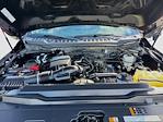 2023 Ford F-250 Crew Cab 4WD Pickup for sale #MF50295P - photo 30