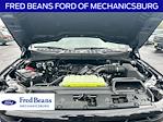New 2025 Ford F-150 XLT SuperCrew Cab 4WD Pickup for sale #MF50507 - photo 30