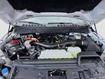 2024 Ford F-150 SuperCrew Cab 4WD Pickup for sale #MF505531 - photo 35