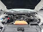 2018 Ford F-150 Super Cab 4WD Pickup for sale #MF505532 - photo 29