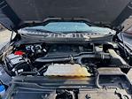 2023 Ford F-150 SuperCrew Cab 4WD Pickup for sale #MF60003P - photo 31