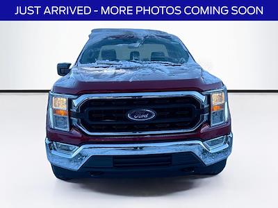 2021 Ford F-150 Regular Cab 4WD Pickup for sale #MF60013R - photo 2