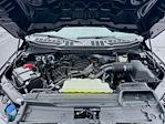 2023 Ford F-150 Regular Cab RWD Pickup for sale #MF60013R1 - photo 27