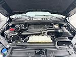 2023 Ford F-150 SuperCrew Cab 4WD Pickup for sale #MF60017P - photo 31