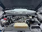 2023 Ford F-150 Super Cab 4WD Pickup for sale #MF60046P - photo 32