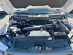 2023 Ford F-150 SuperCrew Cab 4WD Pickup for sale #MFU240541 - photo 32