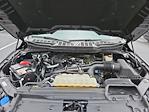 2022 Ford F-150 SuperCrew Cab 4WD Pickup for sale #MFU501112 - photo 27