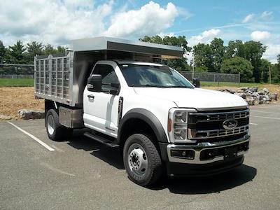 2025 Ford F-450 Regular Cab DRW 4WD Cab Chassis for sale #MFU50266 - photo 1