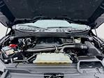 2022 Ford F-150 SuperCrew Cab 4WD Pickup for sale #MK253701 - photo 31