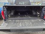 2015 Ford F-150 SuperCrew Cab 4WD Pickup for sale #FL408431 - photo 9
