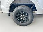 2025 Ford F-150 SuperCrew Cab 4WD Pickup for sale #FL50147 - photo 17