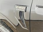 2025 Ford F-150 SuperCrew Cab 4WD Pickup for sale #FL50156 - photo 19